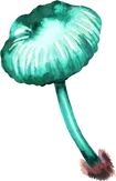 Pilze