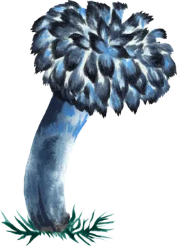 Pilze