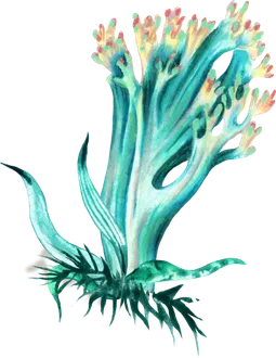 Pilze