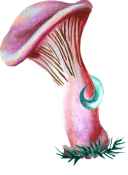 Pilze