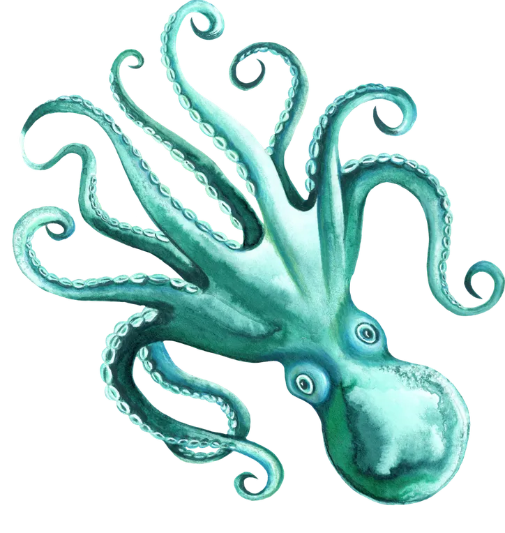 Oktopus